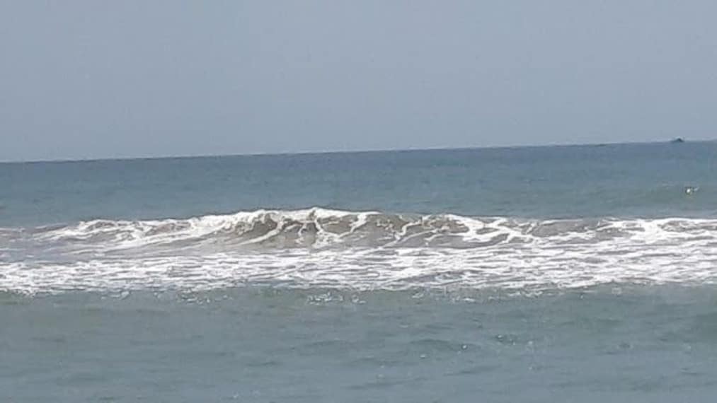 Royapuram Fishing Harbour_4